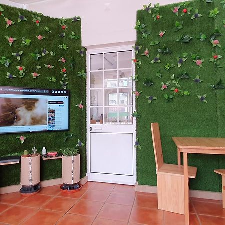Bruma Hostel Ponta Delgada  Ngoại thất bức ảnh